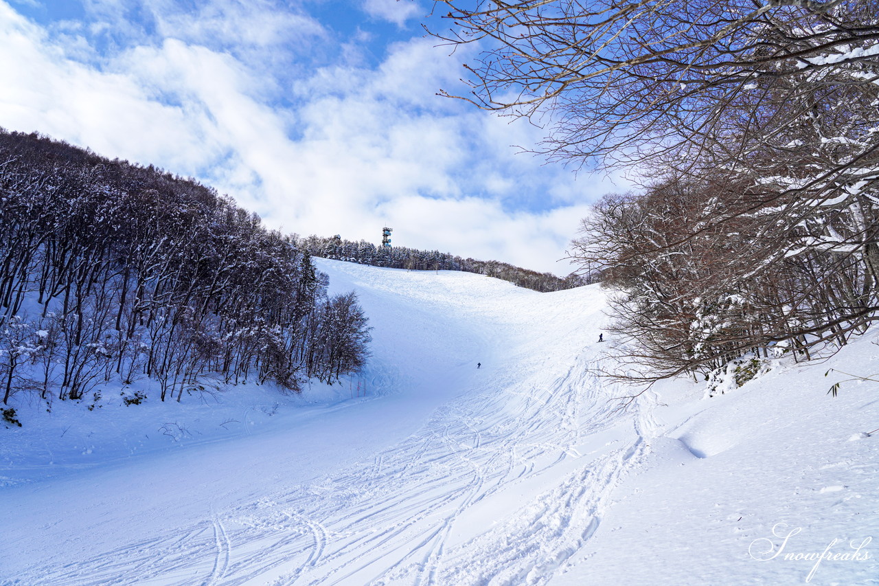 札幌藻岩山スキー場 ゲレンデの積雪は今季最深の125cm！コンディション良好で素晴らしいスキー日和に♪